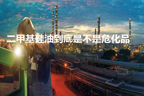 二甲基硅油到底是不是?；纺兀恳黄饋?lái)看看